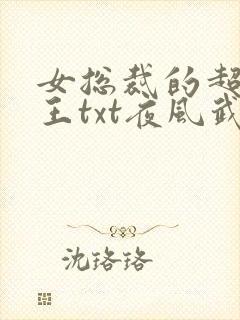 女总裁的超级兵王txt夜风武