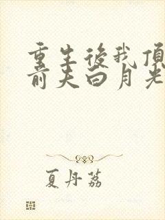 重生后我顶替了前夫白月光小说