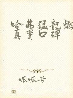 哈弗猛龙燃油版真实口碑