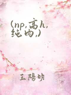 (np,高h,纯肉,)