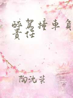 醉驾撞车负什么责任