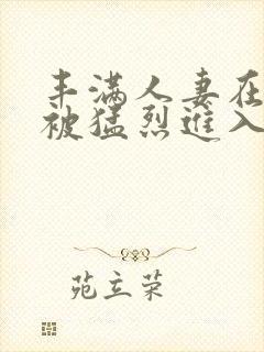 丰满人妻在公车被猛烈进入