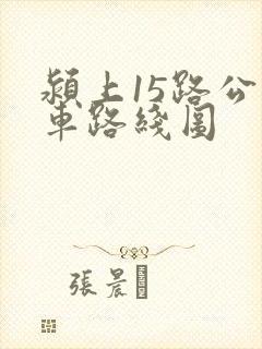 颍上15路公交车路线图