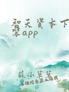 智天资本下载安装app