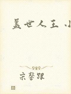 盖世人王 小说
