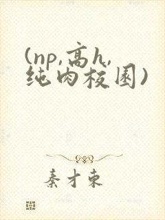 (np,高h,纯肉校园)