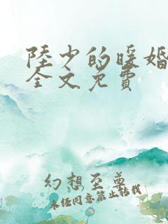 陆少的暖婚新妻全文免费