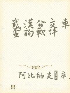 武汉公交车实时查询软件