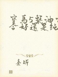 宝马5系油电混合好还是纯油好