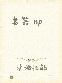 名器 np