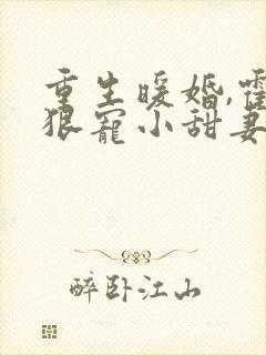 重生暖婚,霍总狠宠小甜妻 重生暖婚,霍总狠宠小甜妻