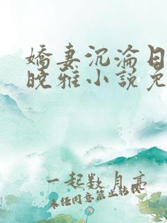娇妻沉沦日记许晓雅小说免费阅读