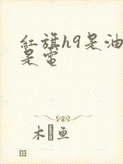 红旗h9是油还是电