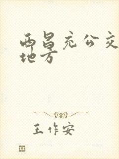 西昌充公交卡的地方