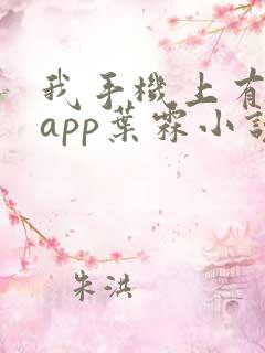 我手机上有禁忌app叶霖小说