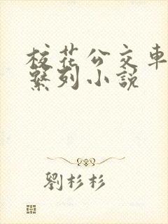 校花公交车上强系列小说