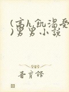 (高h,饥渴受)男男小说