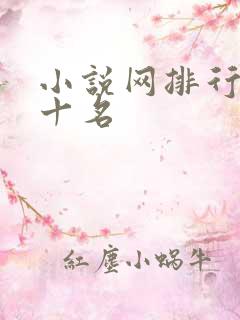 小说网排行榜前十名