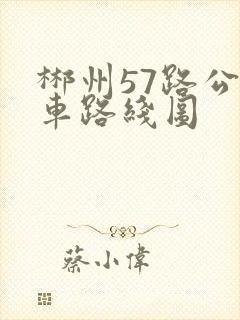 郴州57路公交车路线图