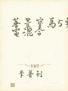 华晨宝马5系油电混合
