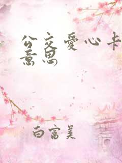公交爱心卡什么意思
