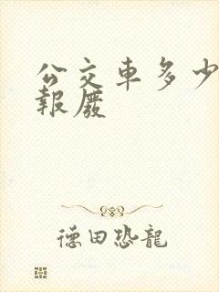 公交车多少公里报废