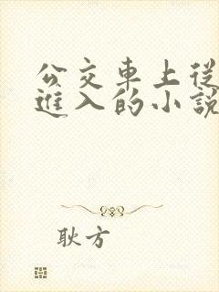 公交车上从后面进入的小说