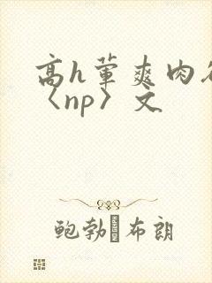 高h荤爽肉欲文〈np〉文