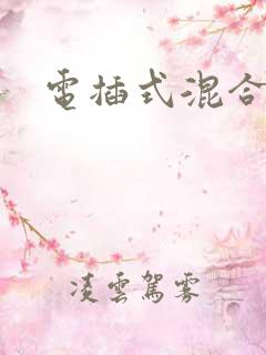 电插式混合动力