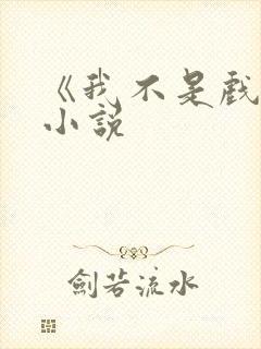 《我不是戏神》小说