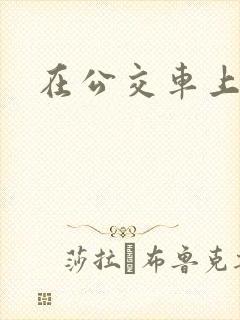 在公交车上被摸