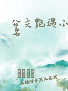 公交艳遇小说书名 公交艳遇小说书名