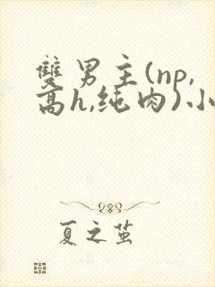 双男主(np,高h,纯肉)小说推荐 双男主(np,高h,纯肉)小说推荐