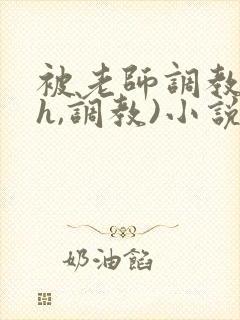 被老师调教(高h,调教)小说