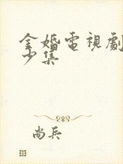 金婚电视剧共多少集