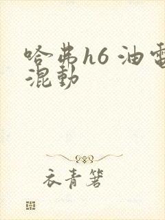 哈弗h6 油电混动 哈弗h6 油电混动