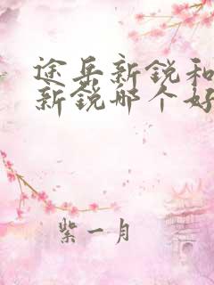途岳新锐和朗逸新锐哪个好