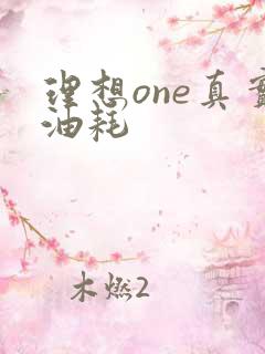 理想one真实油耗