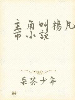 主角叫杨凡的都市小说