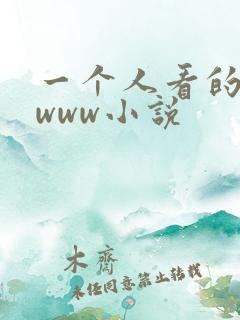 一个人看的日本www小说