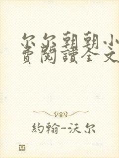 尔尔朝朝小说免费阅读全文最新章节