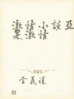 激情小说亚洲都是激情