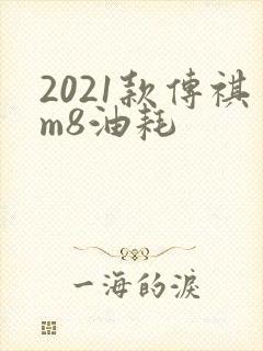 2021款传祺m8油耗