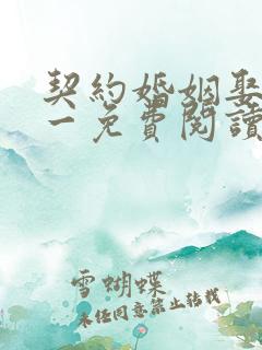 契约婚姻娶一赠一免费阅读