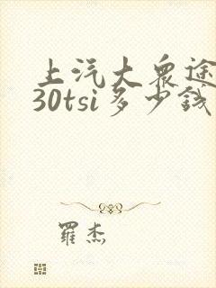 上汽大众途岳330tsi多少钱