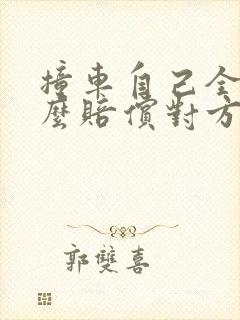 撞车自己全责怎么赔偿对方