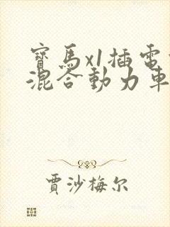 宝马x1插电式混合动力车