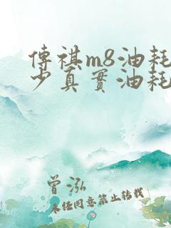 传祺m8油耗多少真实油耗 传祺m8油耗多少真实油耗