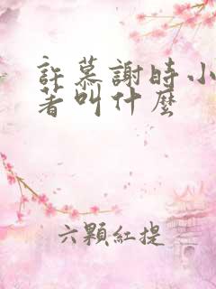 许慕谢时小说原著叫什么