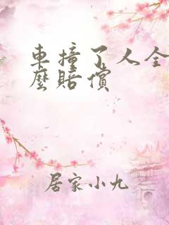 车撞了人全责怎么赔偿